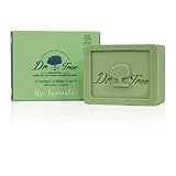 Dr. Tree | Champú Sólido 2 en 1 | Champú Sólido + Acondicionador Ecológico Uso frecuente | Hidrata y Rejuvenece | Todo tipo de Cabellos | 99% Ingredientes Naturales ECOCERT | 75gr
